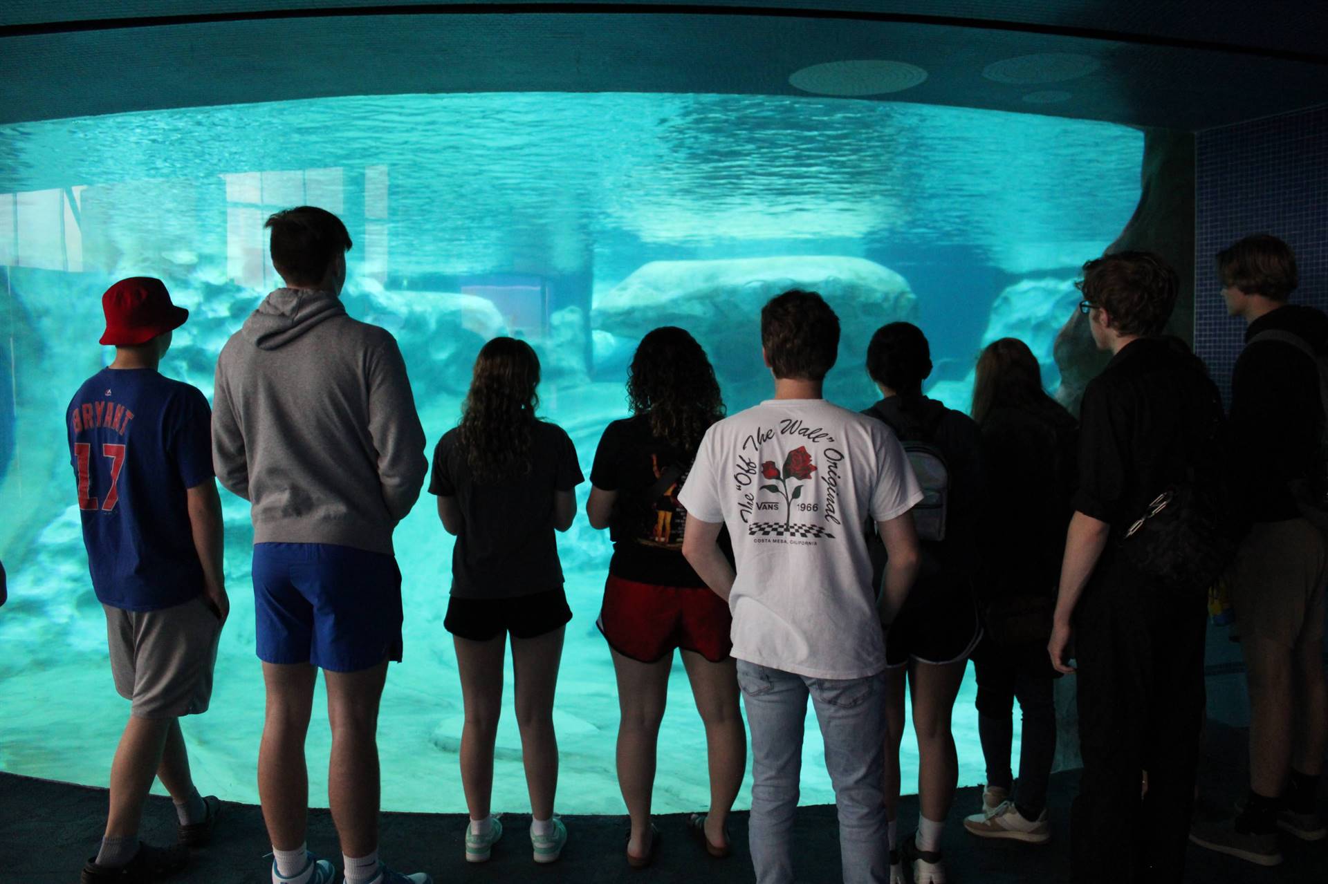 Seniors at Atlanta Aquarium