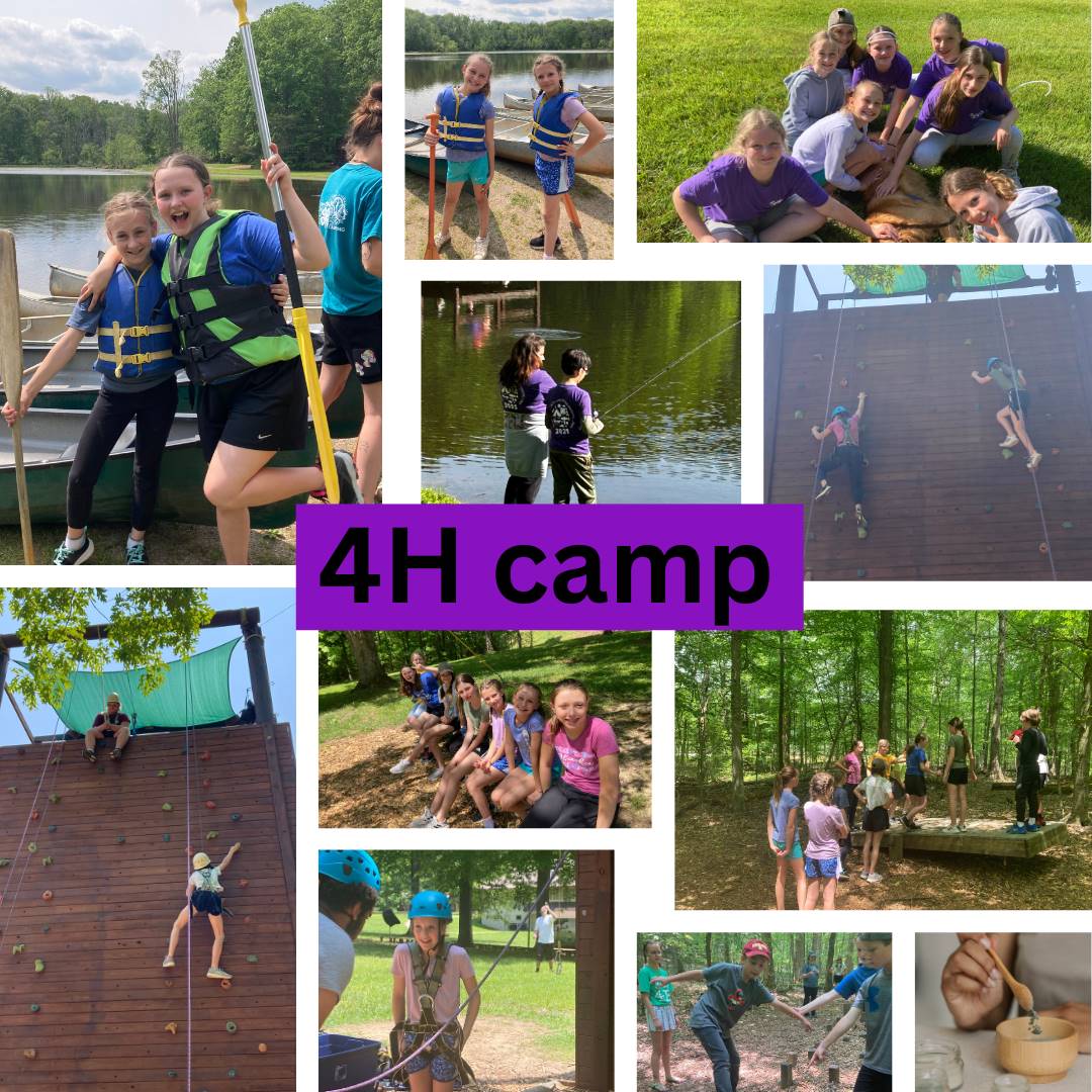 4 H Camp with 4th/5th grade